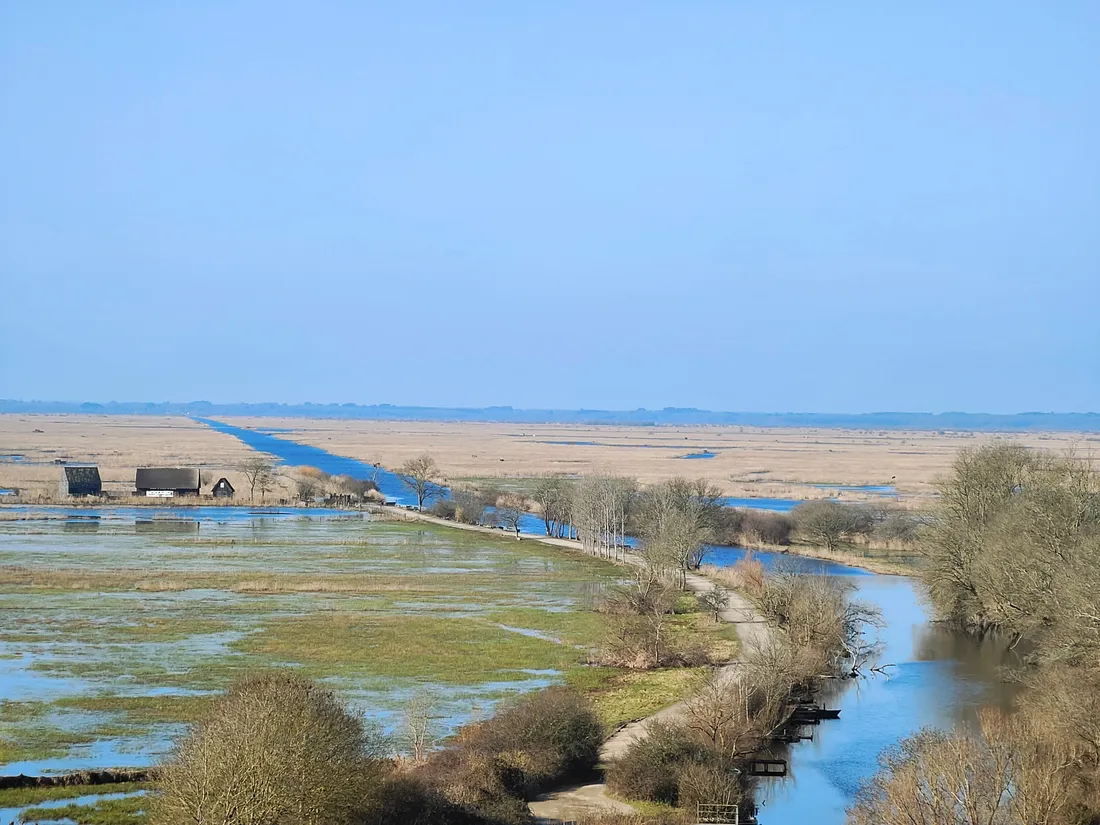 Le marais vu du belvédère de Rozé