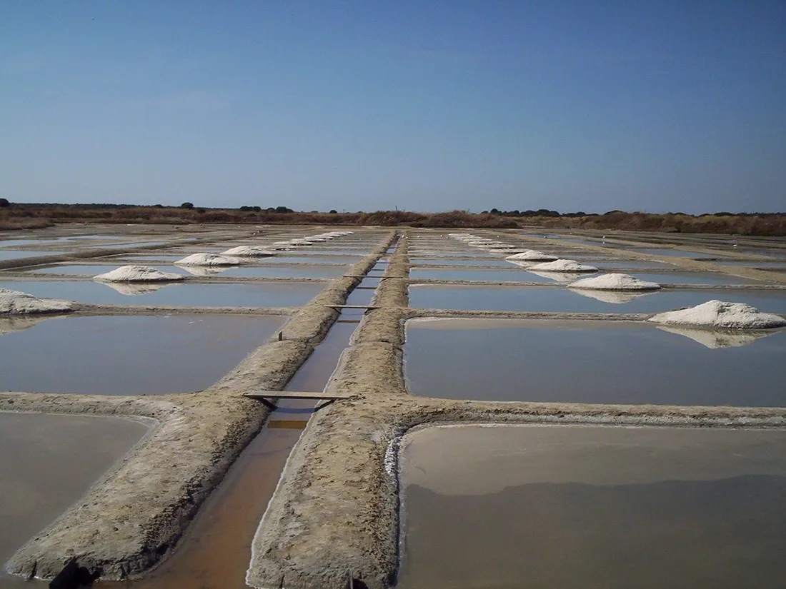 Les marais salants de Guérande (image d'illustration)