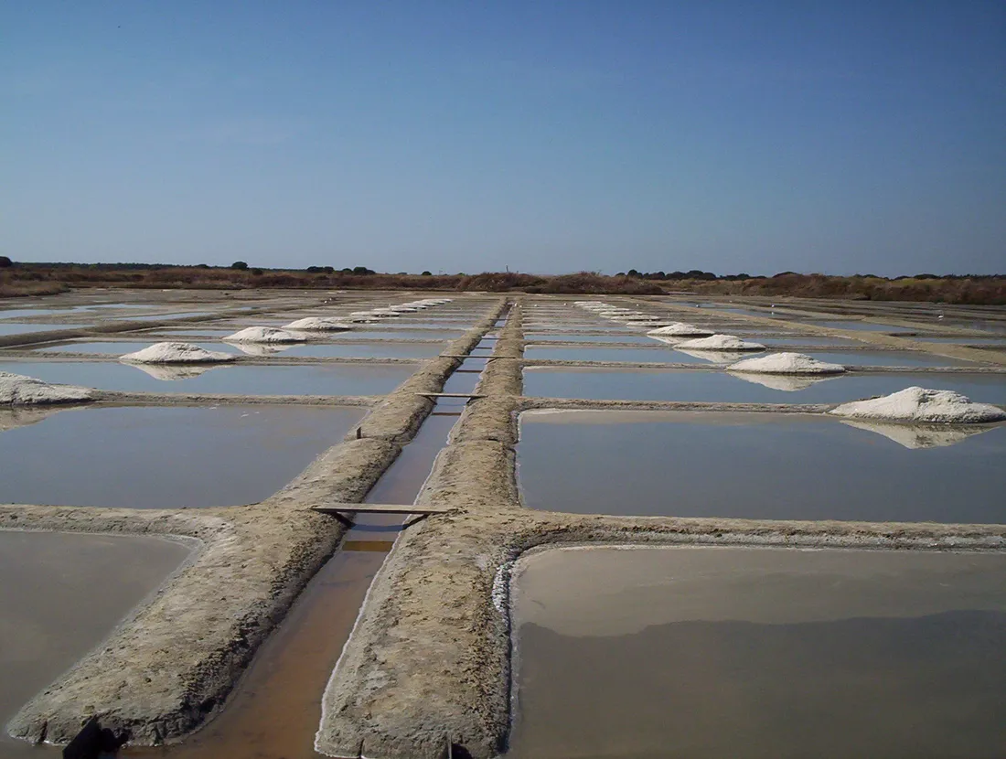 Les marais salants de Guérande (image d'illustration)