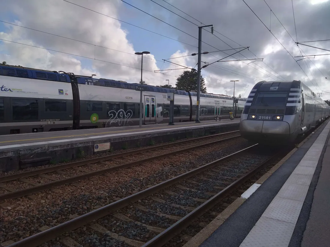 ter bzh