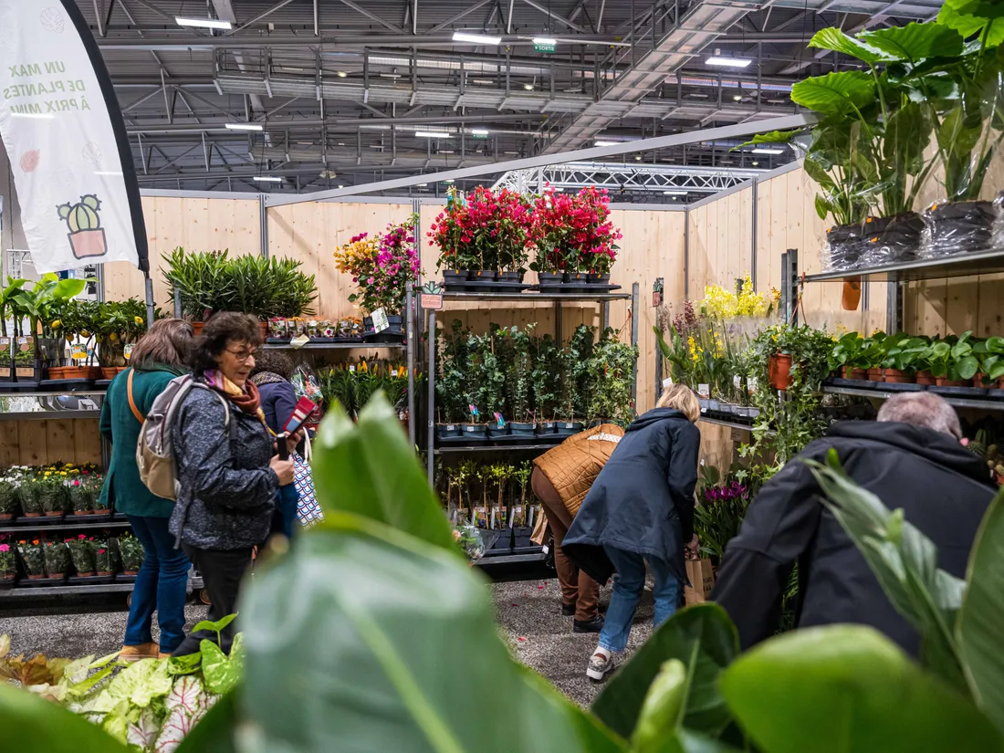 Flower Power à la Foire de Nantes