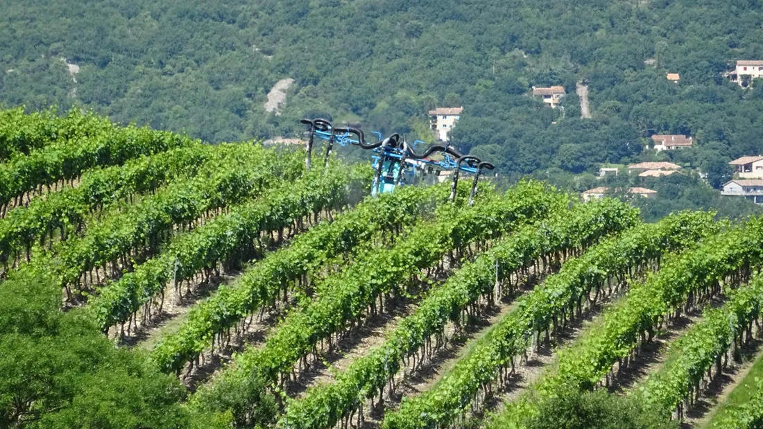pesticides