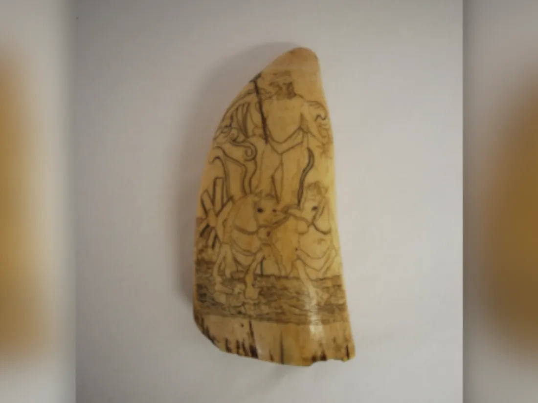 Dent en ivoire au musée de Guérande