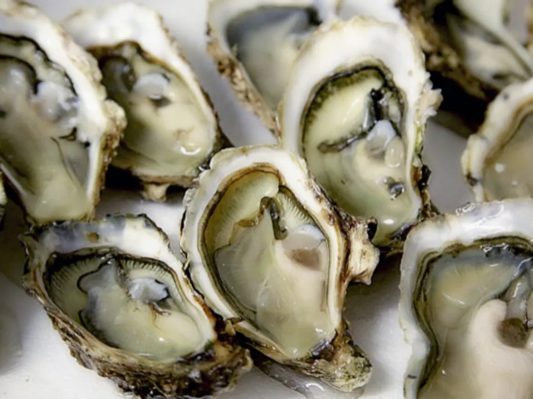 la vente d'huîtres en provenance de la baie de Bourgneuf en Loire-Atlantique est interdite
