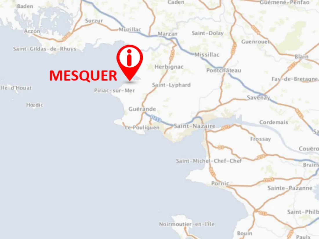 Mesquer