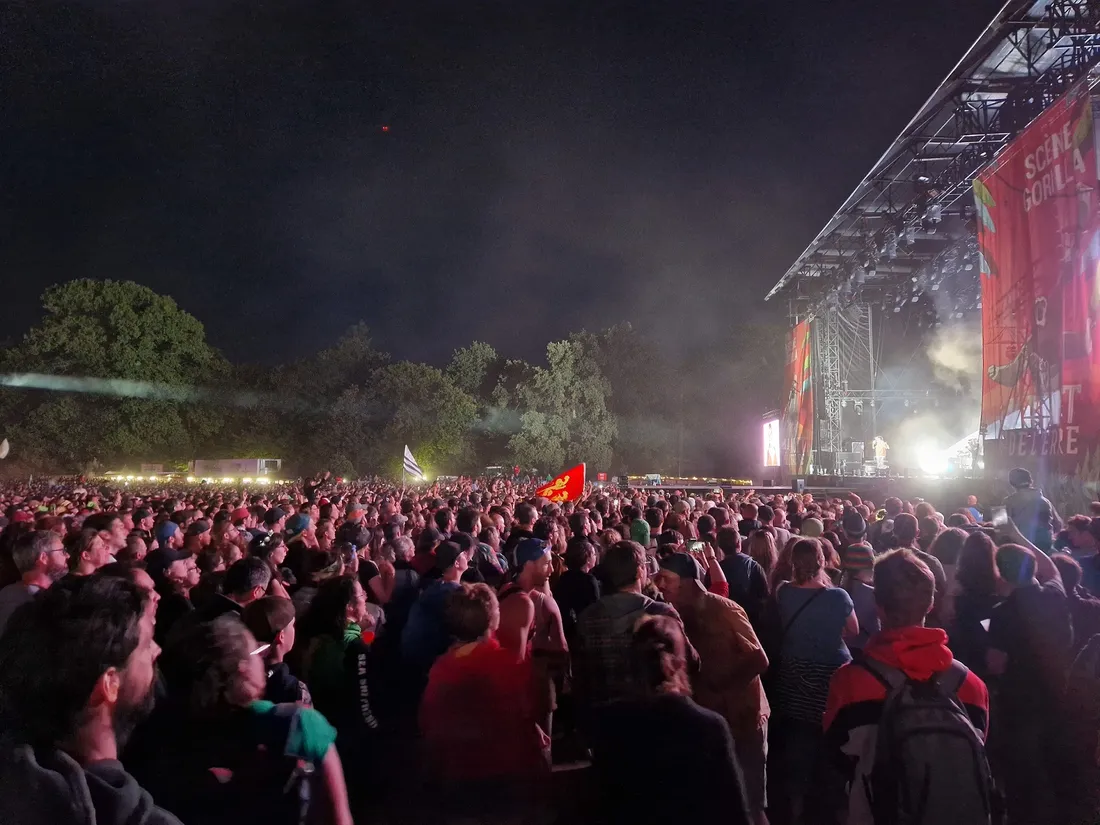Le festival de La Nuit de l'Erdre a proposé quatre jours de concerts cette année !
