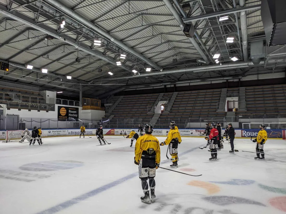 Hockey-sur-glace : les Dragons de Rouen visent un 18e titre de champion de France