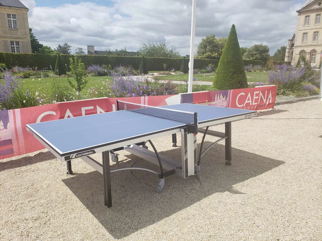 Table de tennis de table