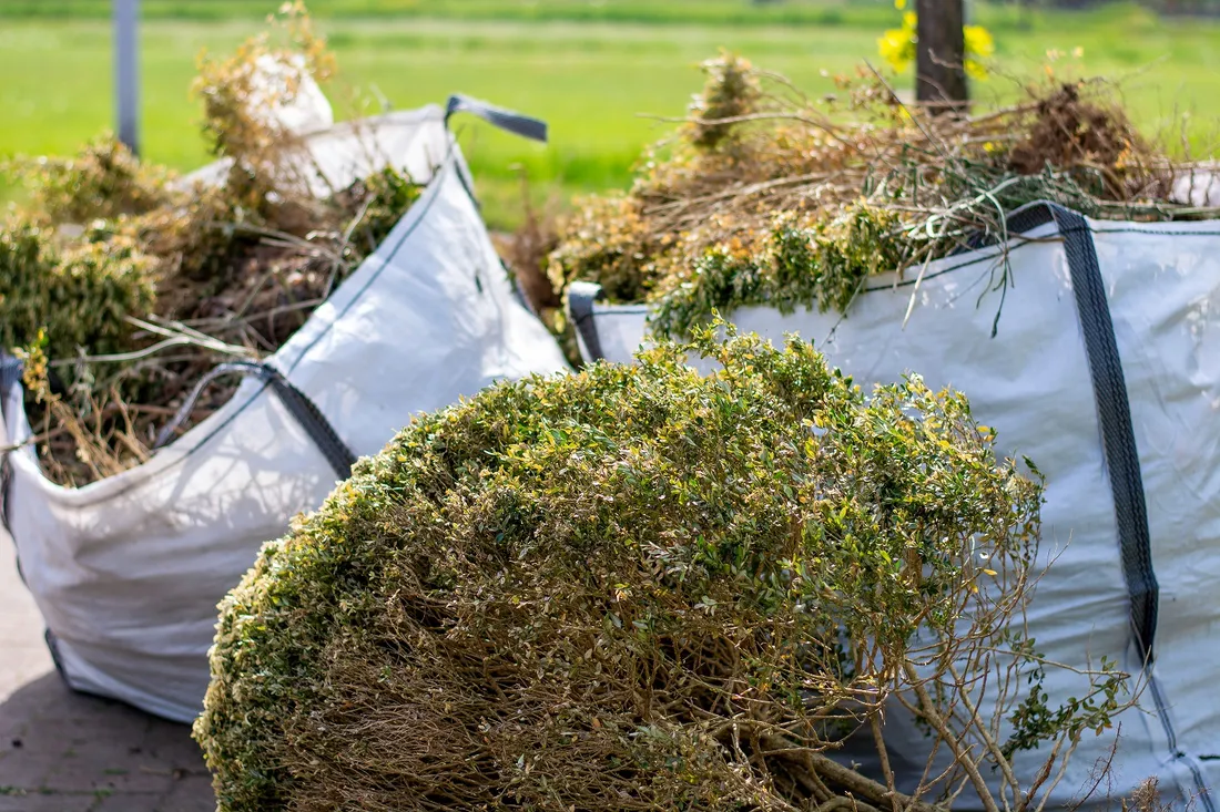 Le Mans : la Ville veut faire la chasse aux incivilités autour des déchets verts