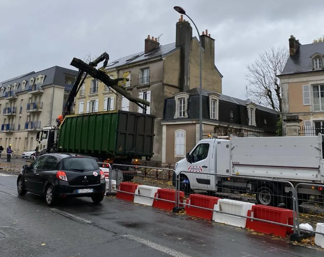 On évacue le bois