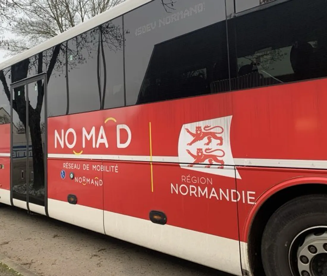 Bus Nomad Car
