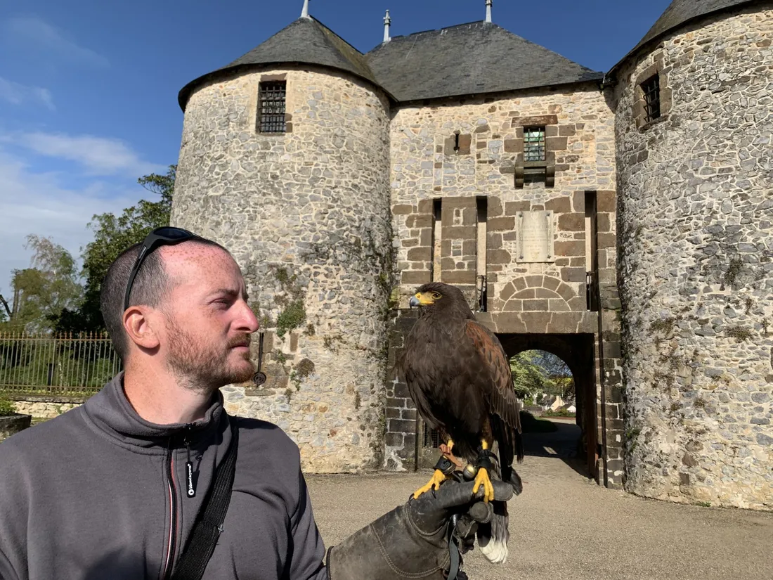 Gamin intervient deux fois par semaine pour effaroucher les pigeons de Fresnay-sur-Sarthe. 