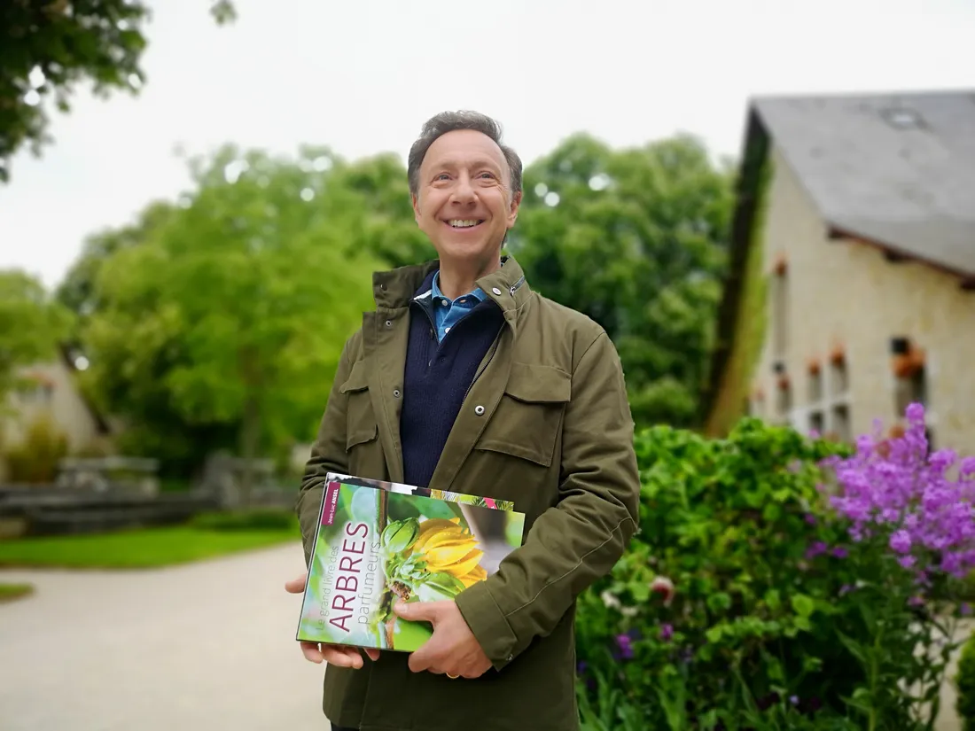 Stéphane Bern au ministère de la Culture... Info ou intox ?