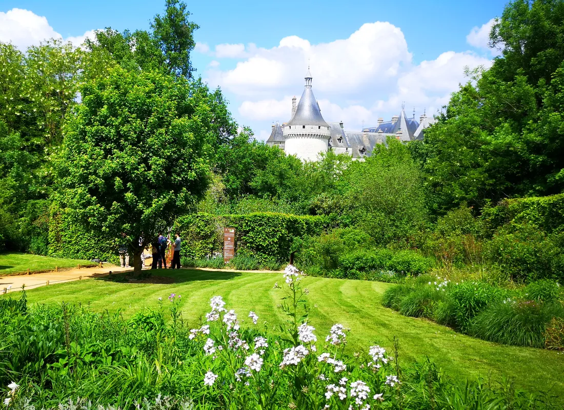 Cette année, le Festival international des Jardins de Chaumont-sur-Loire fête ses trente ans