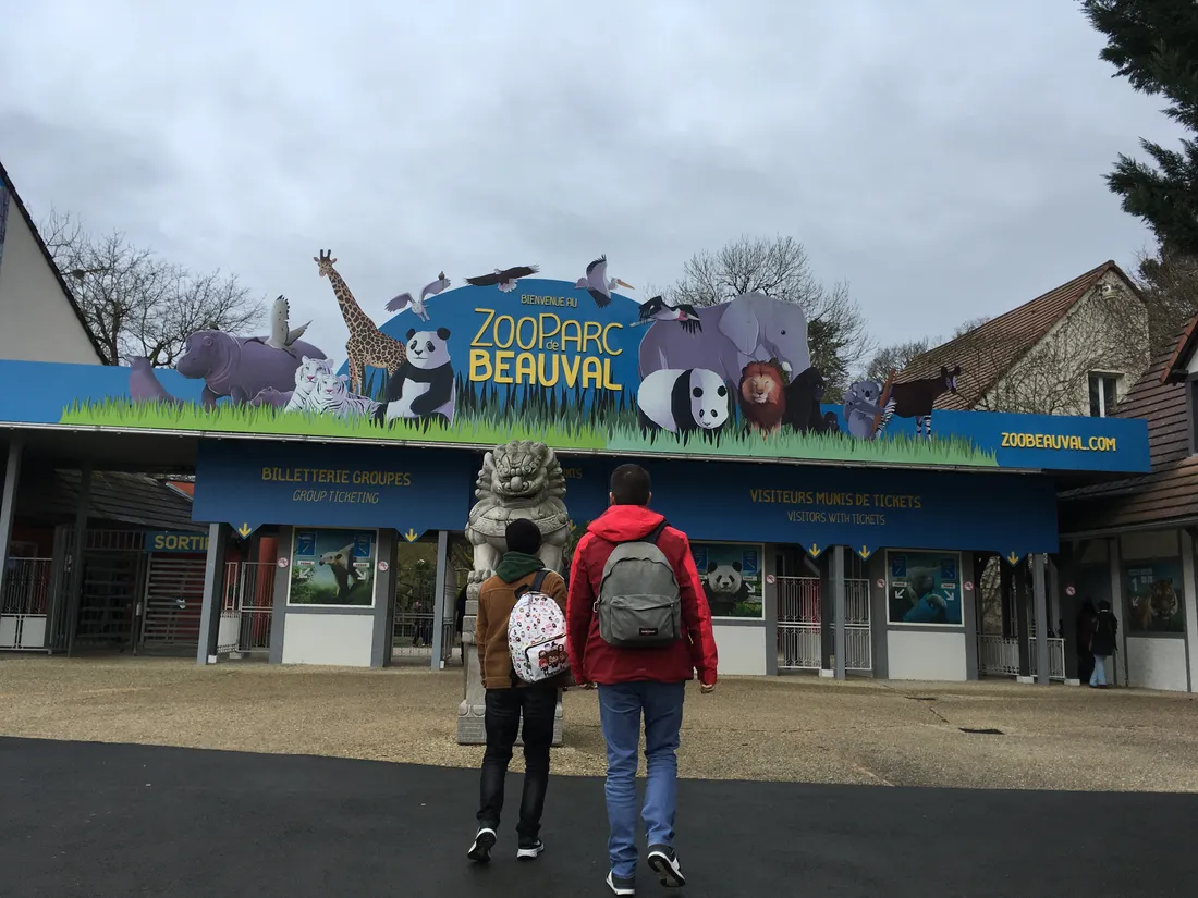 Zoo Beauval