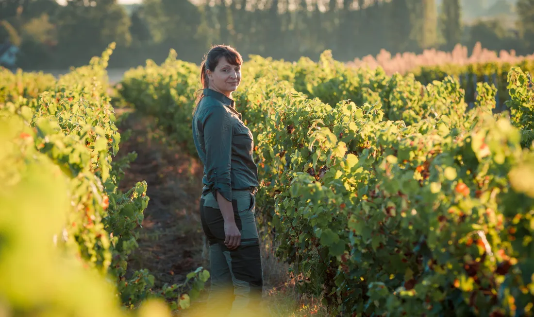 Isabelle Pangault exploite 14 hectares de vignes sur la commune loir-et-chérienne de Sassay.