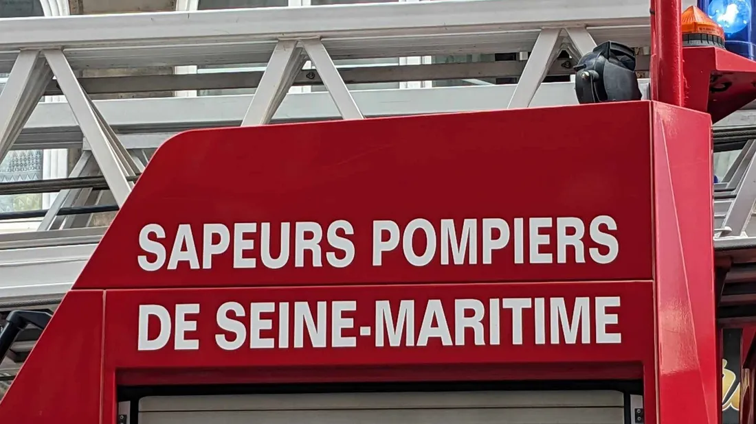 Saint-Jean-du-Cardonnay : les pompiers mobilisés pour un feu de sapin de Noël