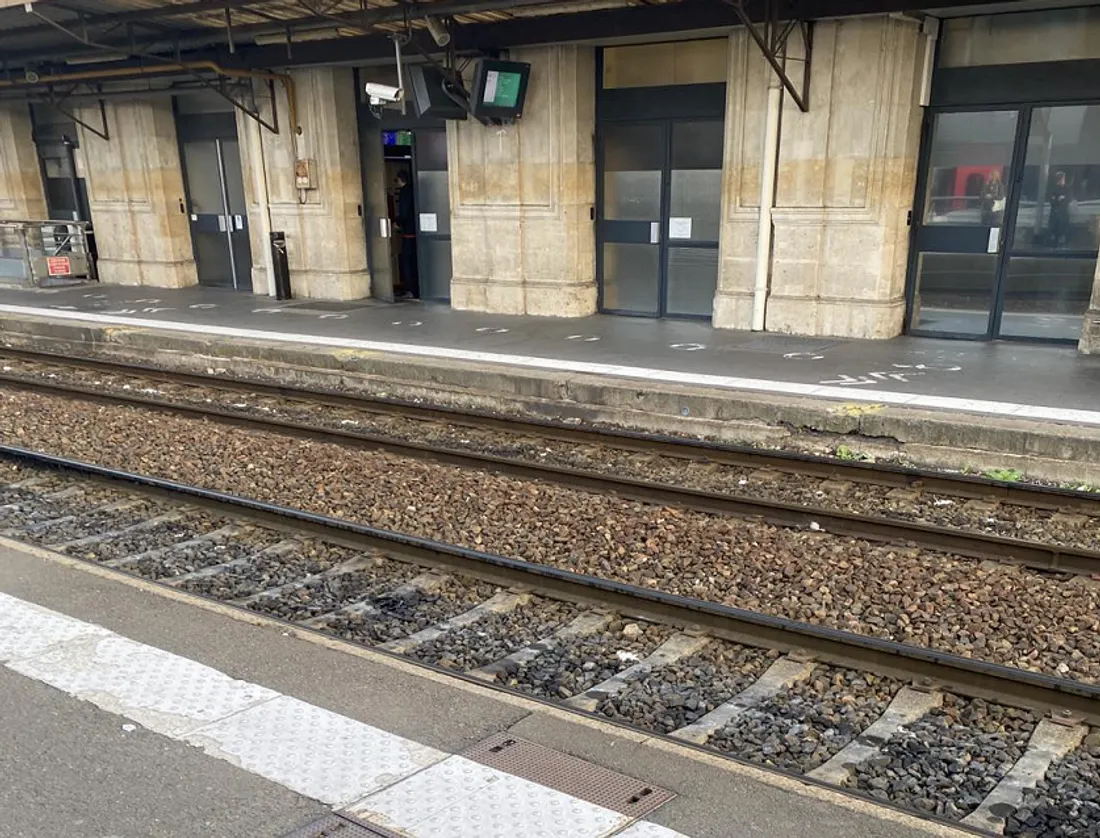 La tempête Herminia impacte depuis plusieurs jours le trafic ferroviaire en Sarthe.