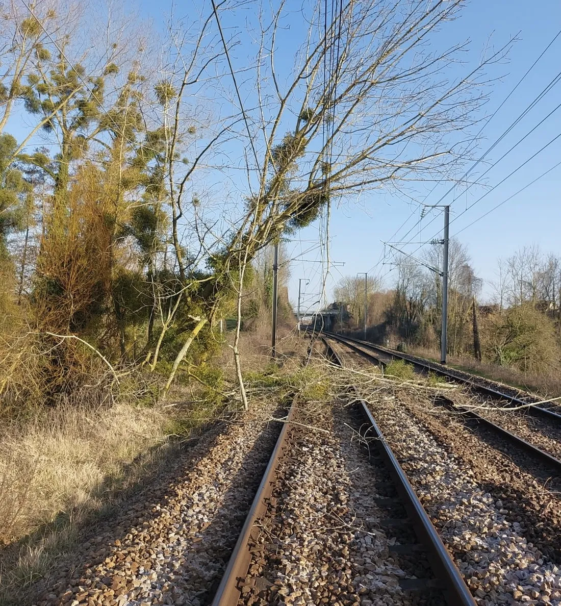 SNCF Nomad Caen Lisieux