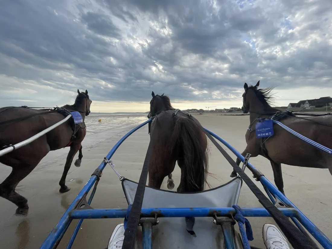 Sulky Cabourg