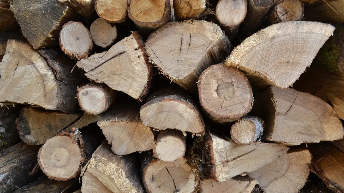 Conches-en-Ouche : des stères de bois offerts aux habitants 