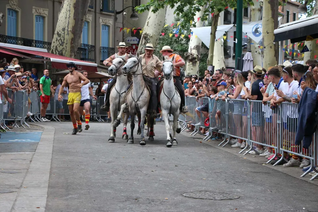 Abrivado traditionnel de Céret, des cavaliers dirigent les toros vers l'arène au milieu du public