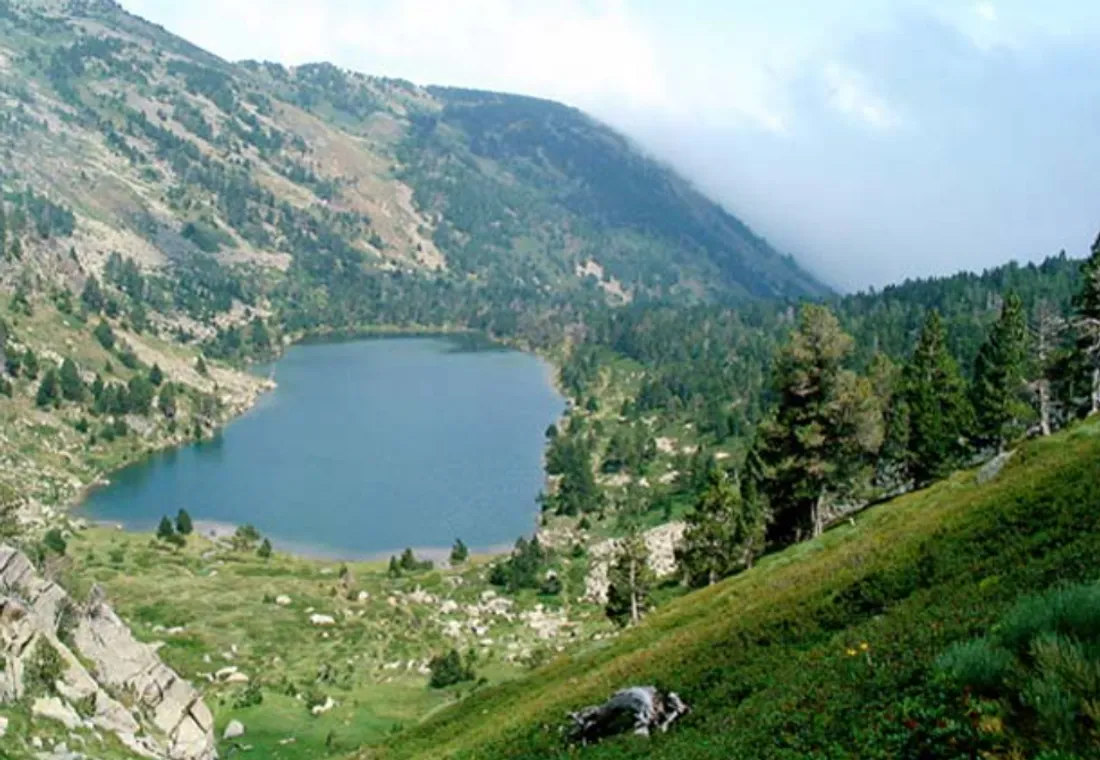 Lac de Nohèdes Gorg Estelat