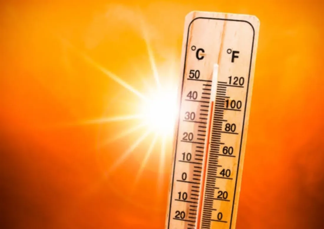 canicule