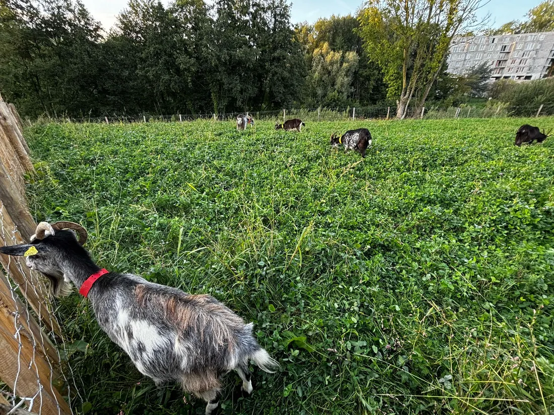 Jardin des Bords de Sambre