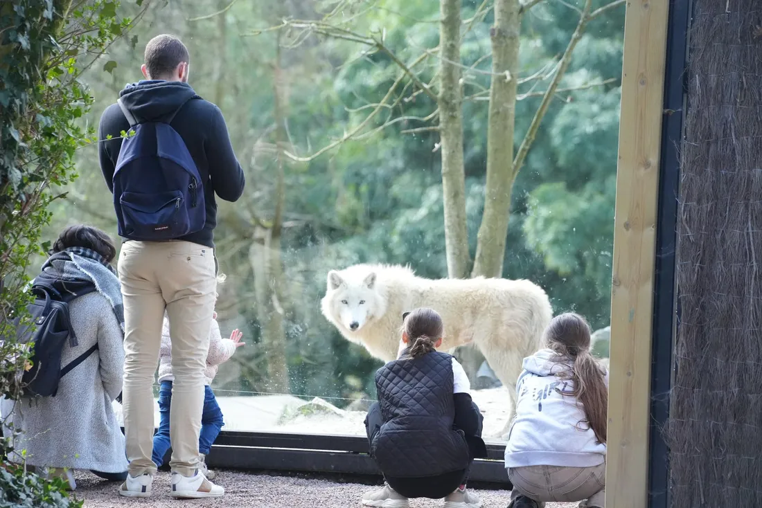 Zoo de Maubeuge