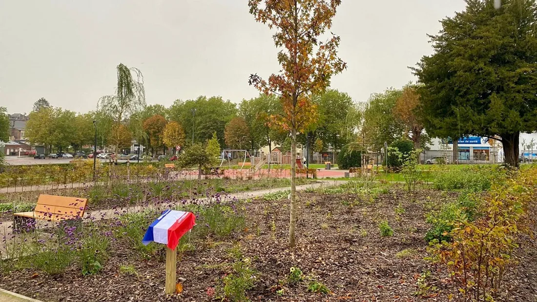 L'arbre planté en hommage aux donneurs d'organe et à leurs familles