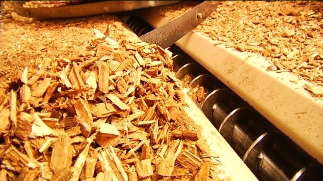Exemple de chaufferie biomasse