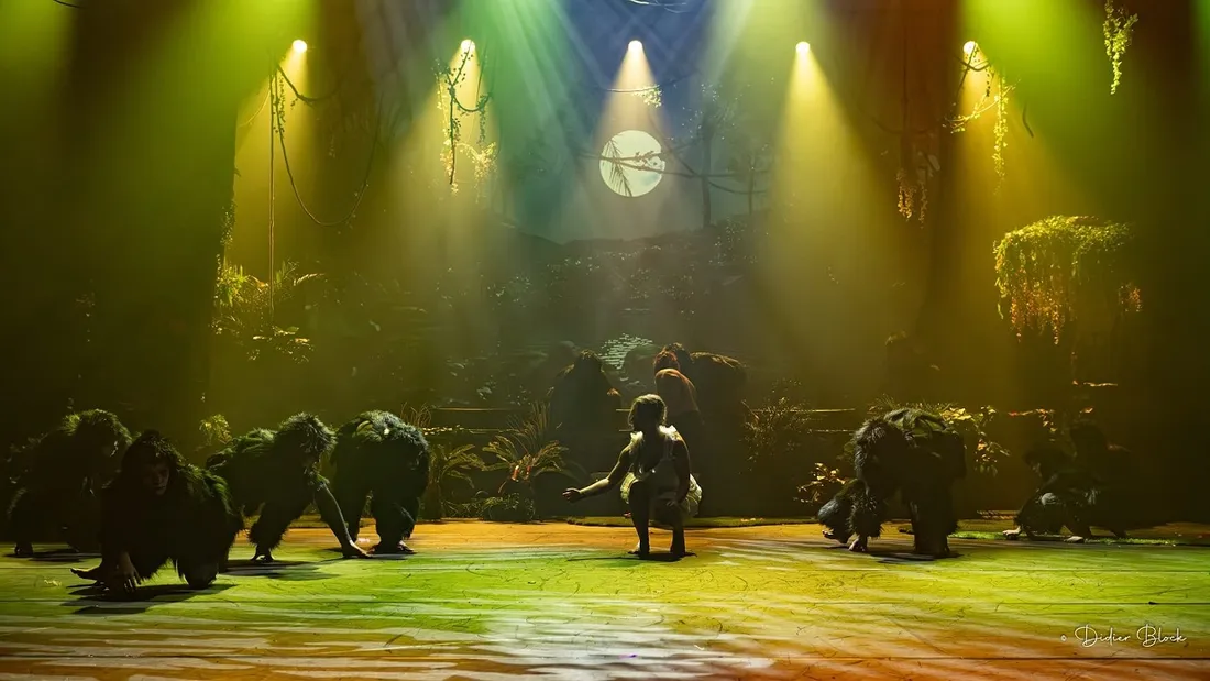 Le spectacle Tarzan 