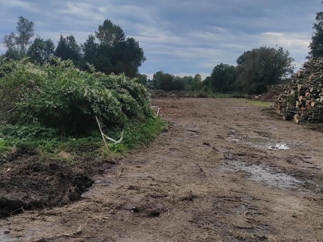 La future frayère piscicole de Pont-sur-Sambre