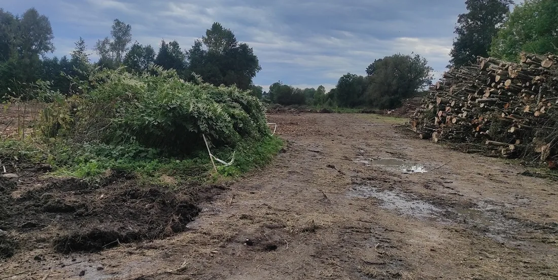 La future frayère piscicole de Pont-sur-Sambre