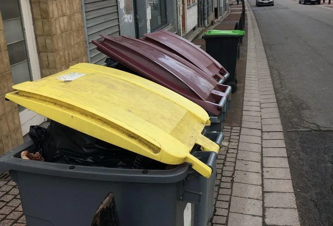 Déchets Verts