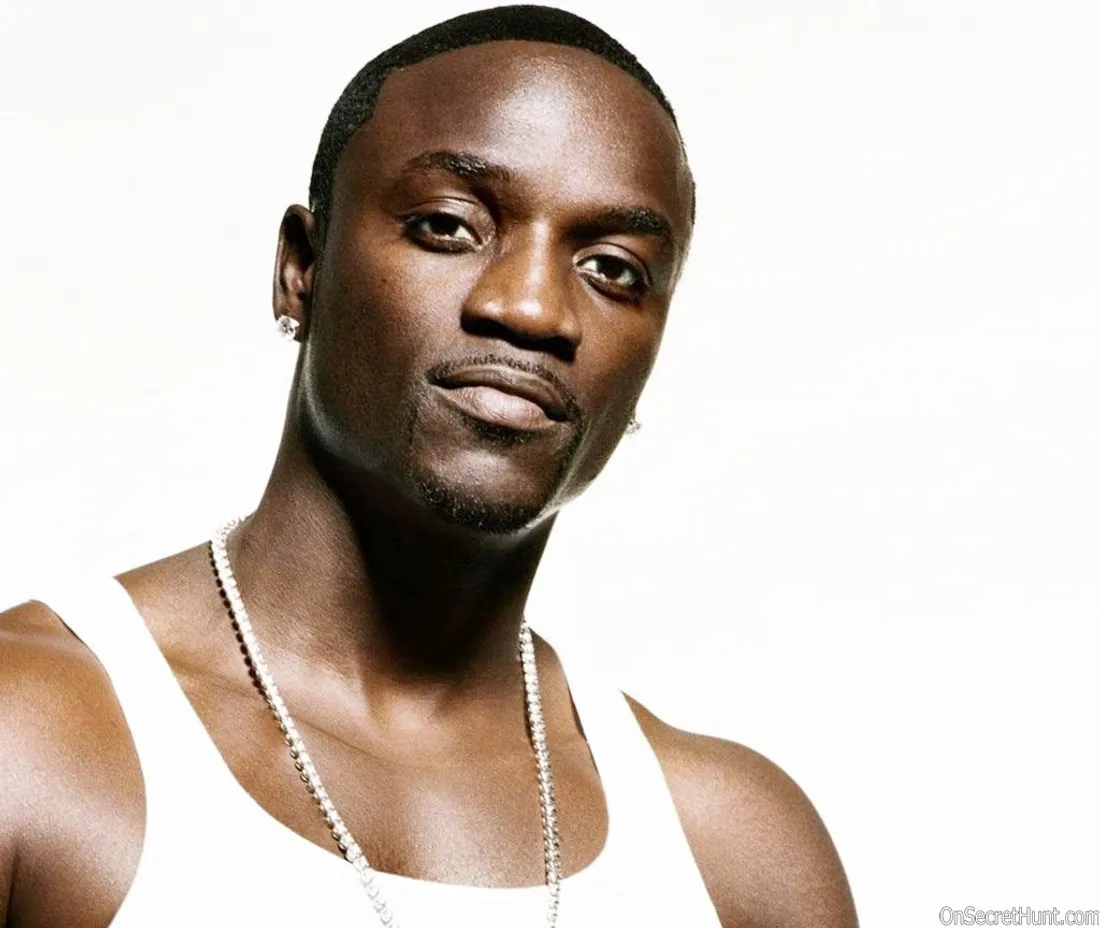 Akon sur Lady Gaga : « Elle ne pouvait que s’effondrer