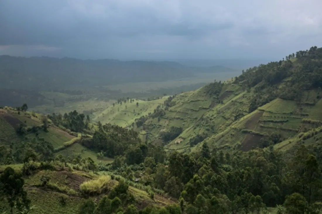 AFRICA RADIO