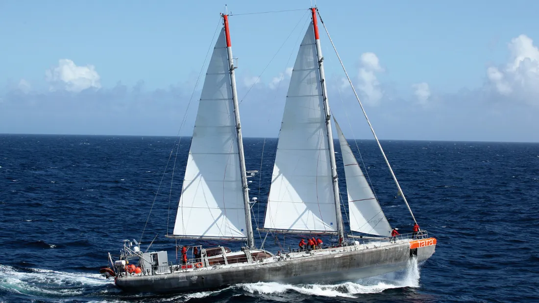 ALOUETTE