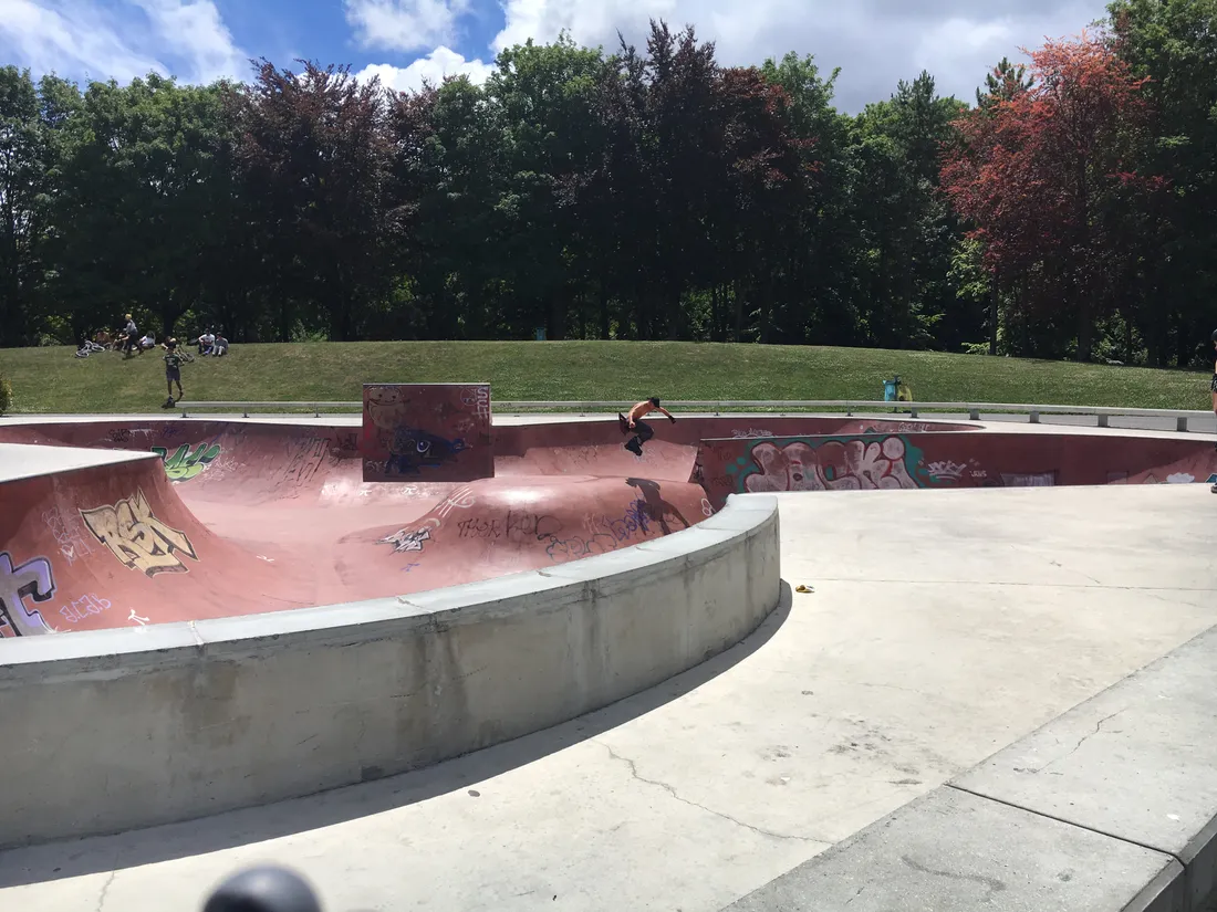 bck section0