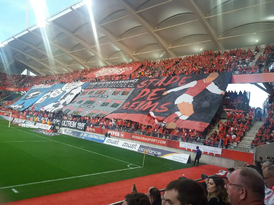 bck section0