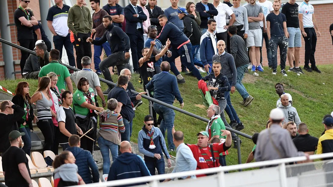 bck section0