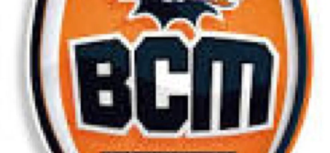 bck section0