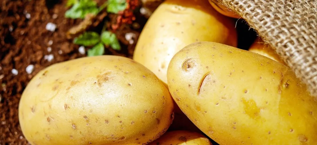 6 millions de tonnes de pommes de terre sont produites chaque année en France.