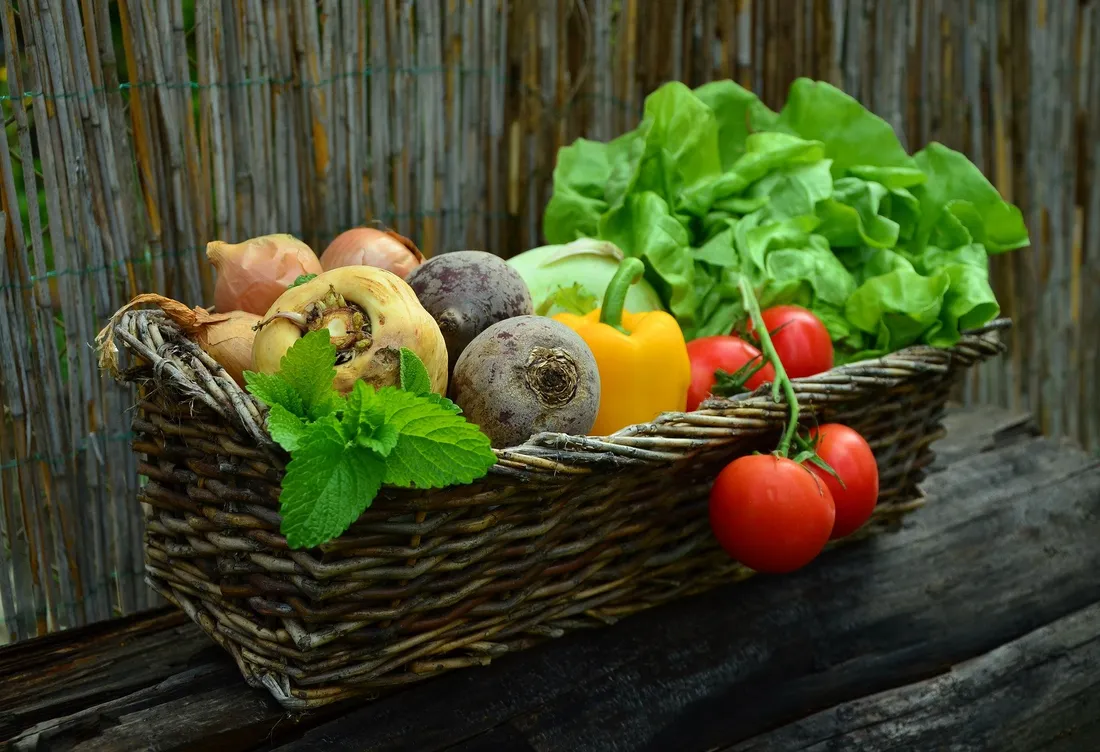 Panier de légumes - Photo d'illustration