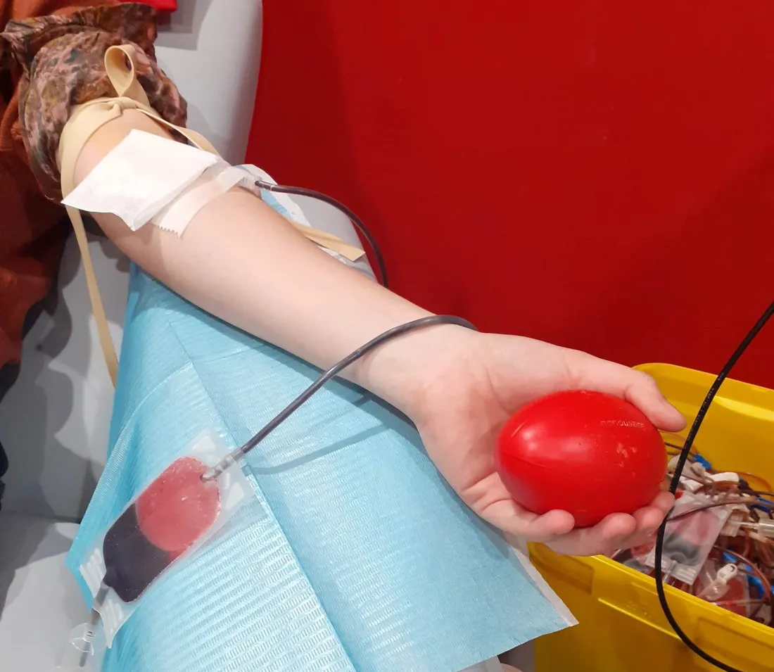 DONNEUR 1.jpg (290 KB)