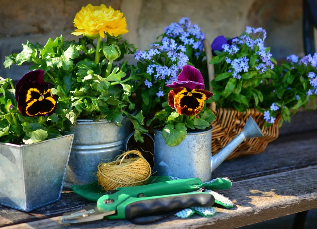 FLEURS ET JARDIN.PNG (1.58 MB)