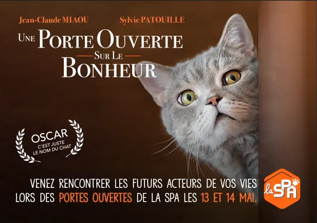 MIAOU SPA.PNG (386 KB)