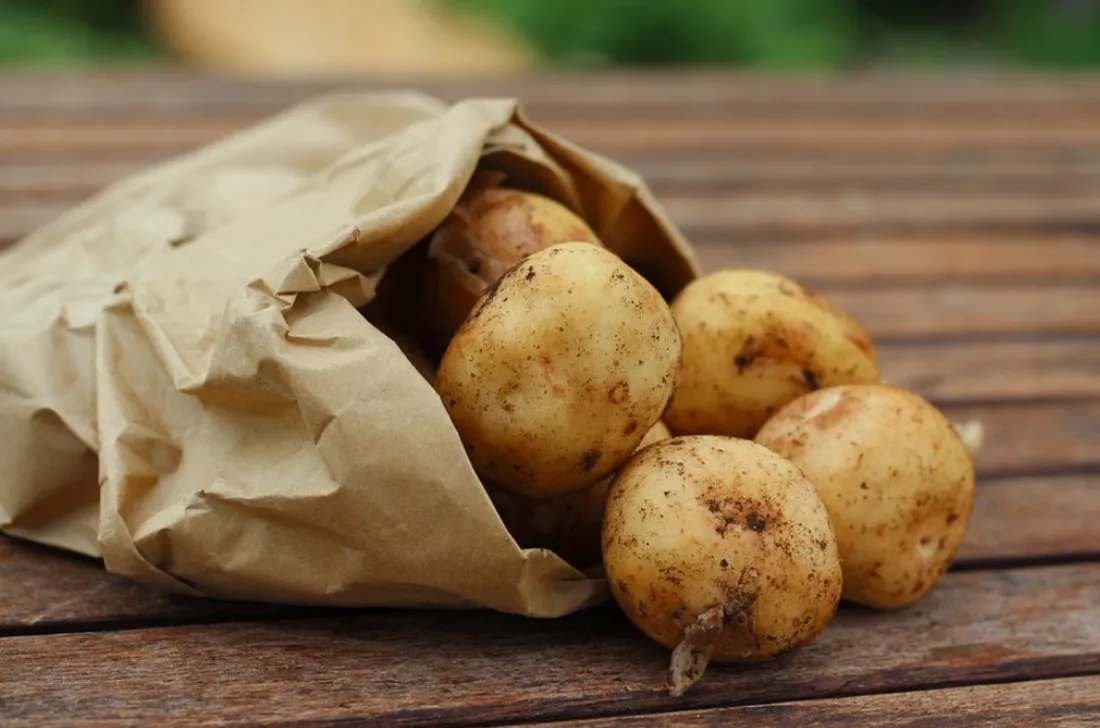PATATES.PNG (1.28 MB)