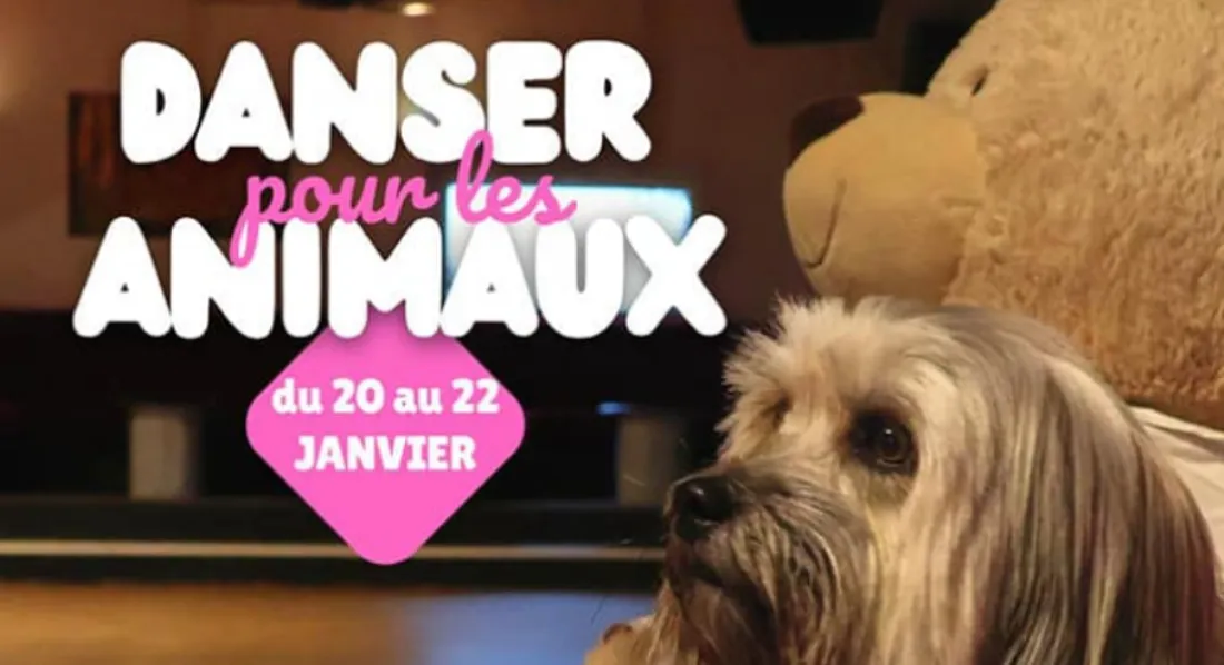 63c7ac5754a462.11936209.png (564 KB)